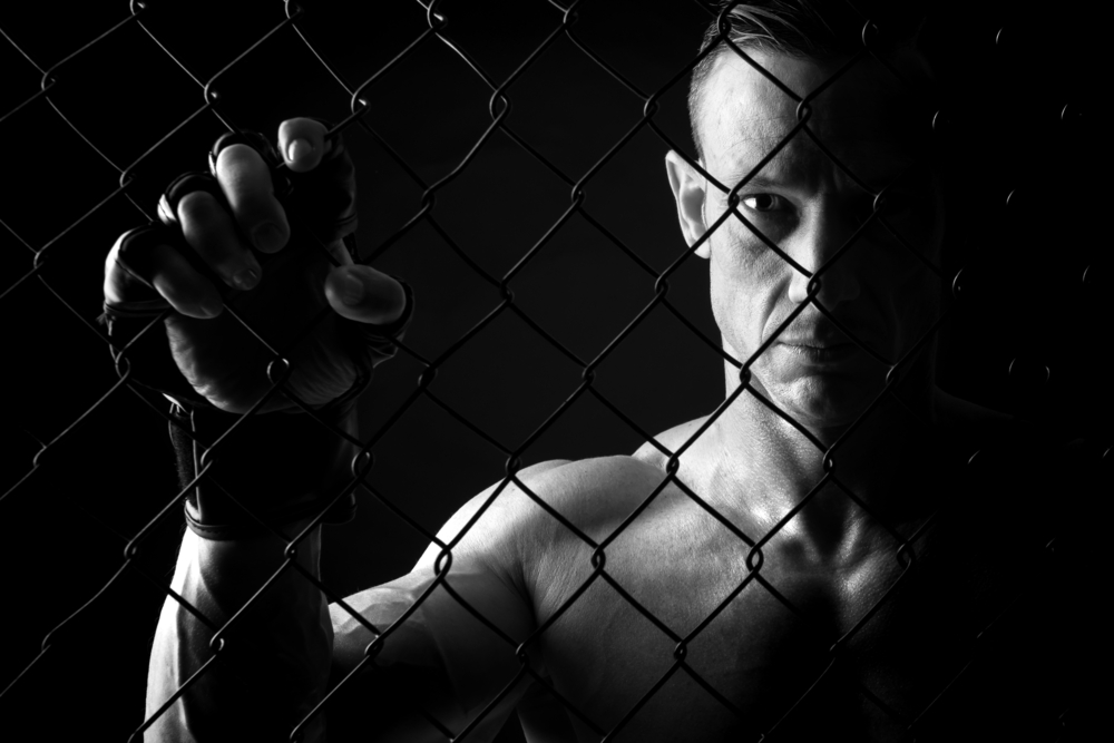 The Right Proteins for MMA Fighters